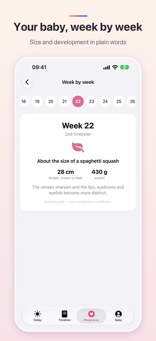 Week by week guide showing the baby's size at week 22